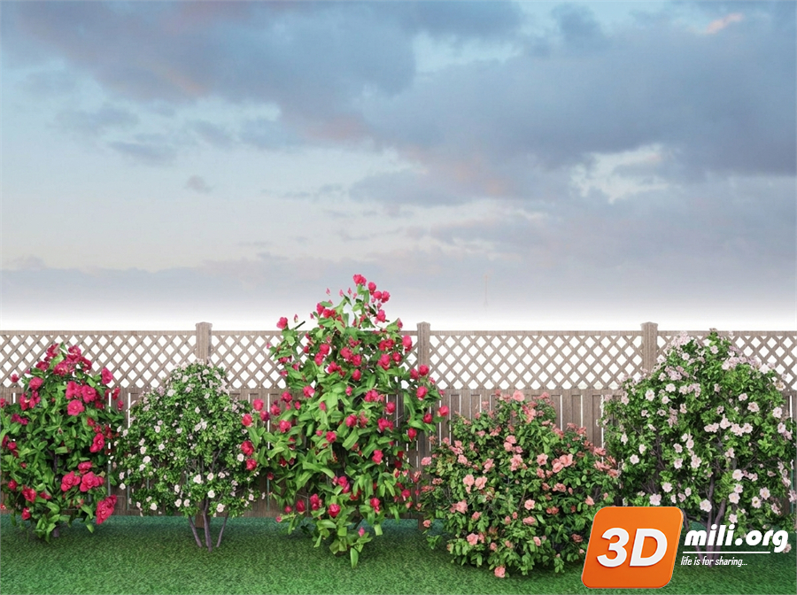 Mini Garden Skp Files 